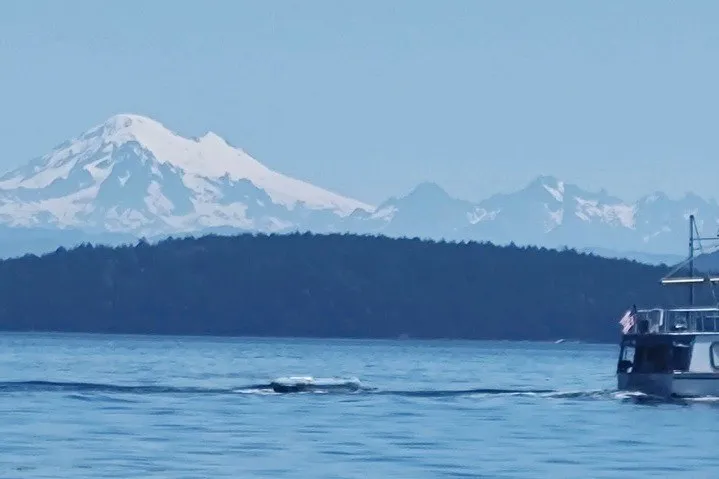 Slide: The Image of 1981 Crown Custom trawler on serene water with snow-capped mountains in the background. - 71