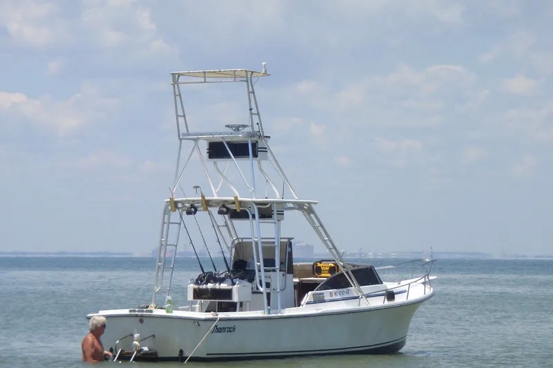 The Image of 1987 Shamrock 260 Stalker boat anchored in calm waters under a cloudy sky. - 1