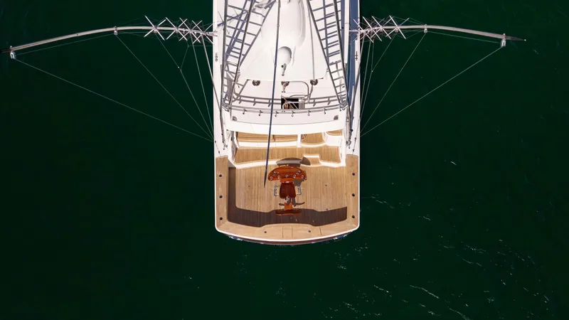 Slide: The Image of Aerial View of Aft Deck and Outriggers - 50
