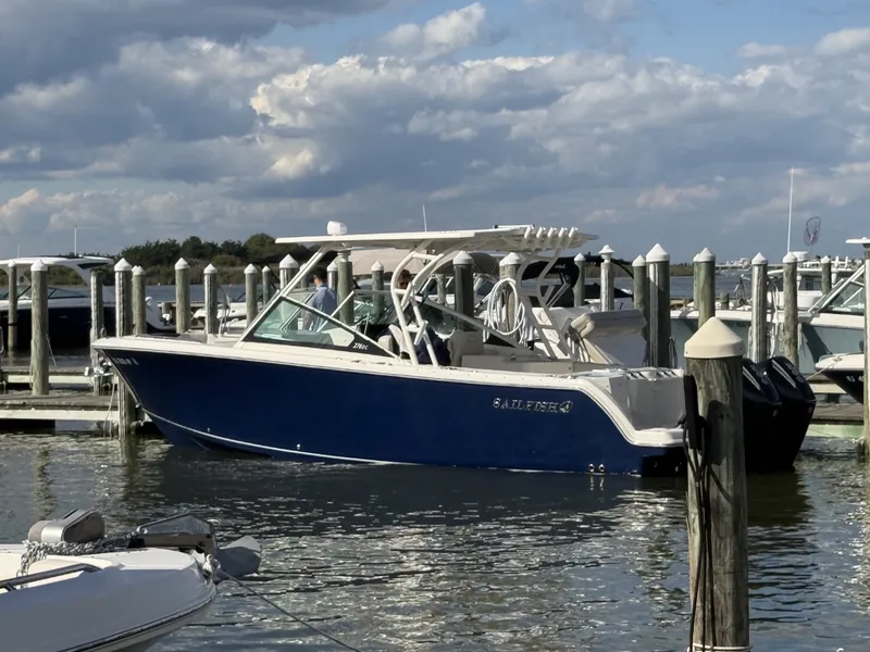 The Image of Sailfish 276 DC 2021 - 0