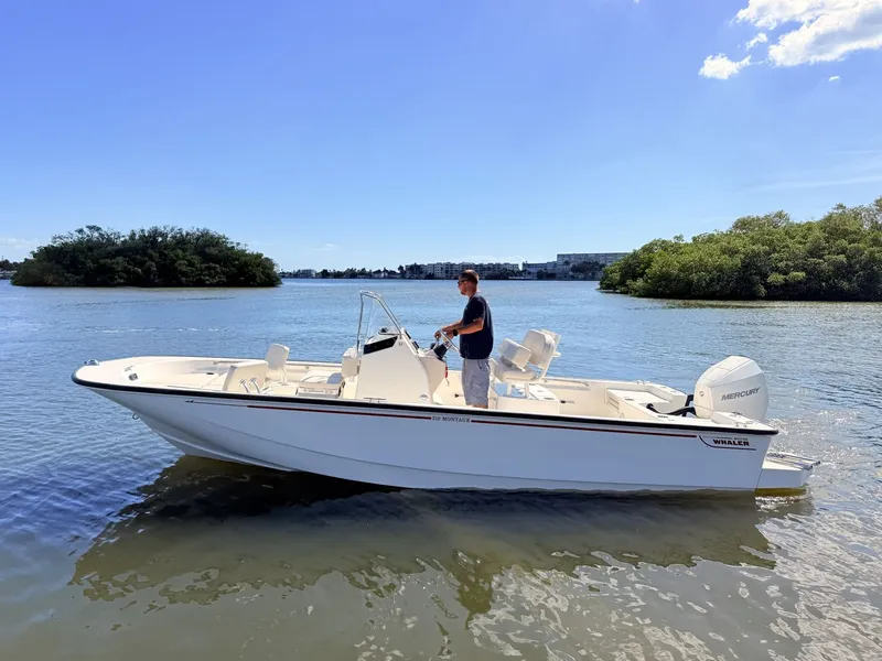 The Image of Boston Whaler 210 Montauk 2027 - 0