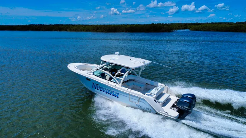 Slide: The Image of Robalo R317 Dual Console 2019 - 36