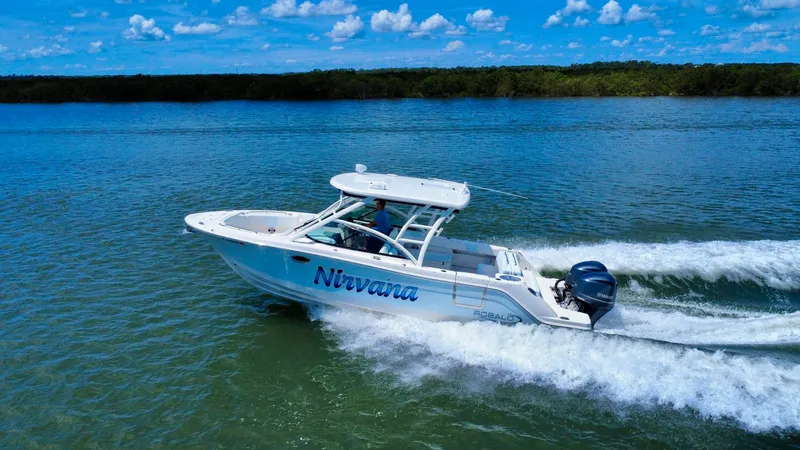 Slide: The Image of Robalo R317 Dual Console 2019 - 44