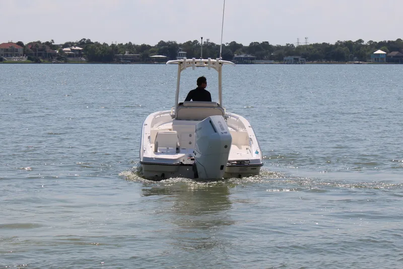 Slide: The Image of Boston Whaler 250 Dauntless 2027 - 6