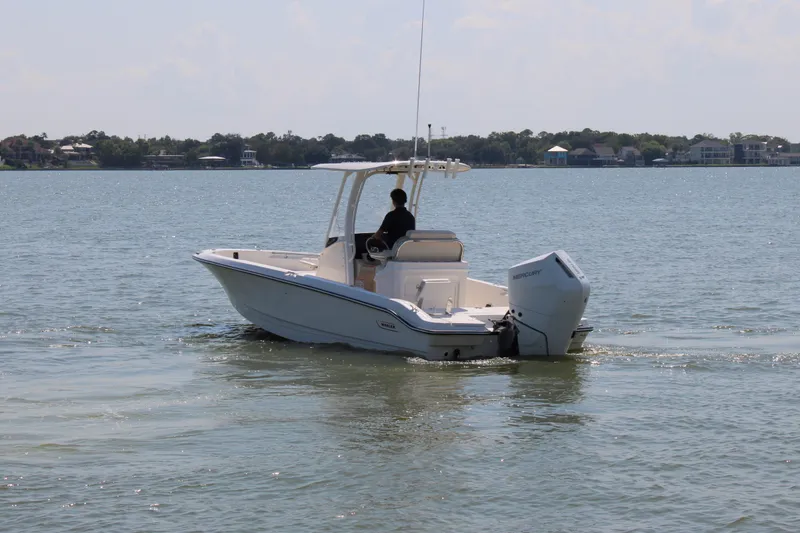 Slide: The Image of Boston Whaler 250 Dauntless 2027 - 7