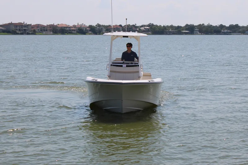Slide: The Image of Boston Whaler 250 Dauntless 2027 - 2