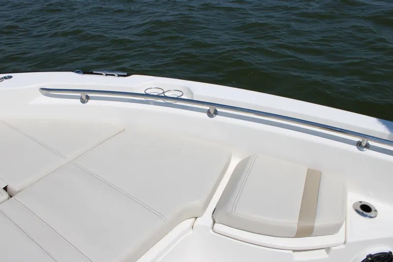 Slide: The Image of Boston Whaler 250 Dauntless 2027 - 21