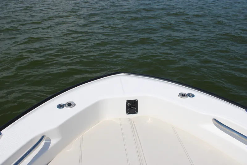 Slide: The Image of Boston Whaler 250 Dauntless 2027 - 24