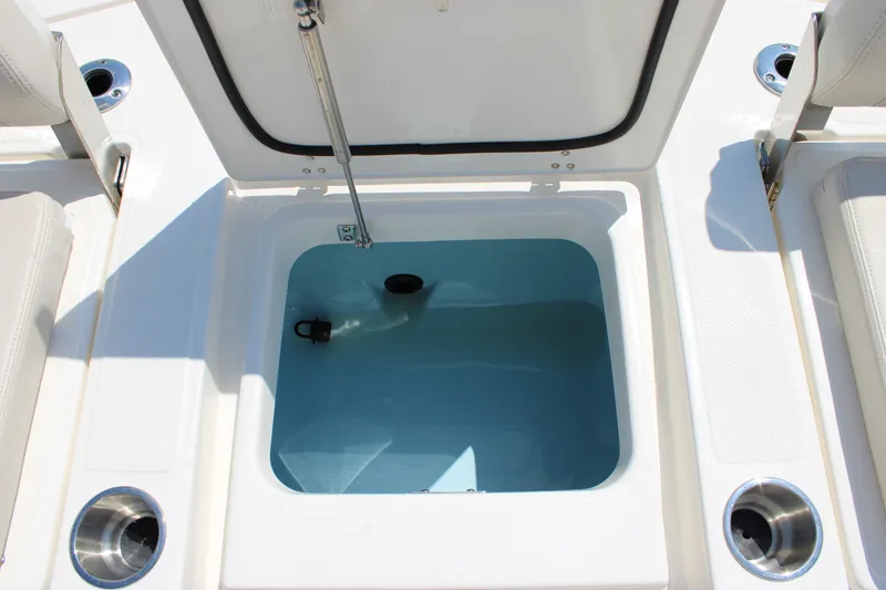Slide: The Image of Boston Whaler 250 Dauntless 2027 - 33