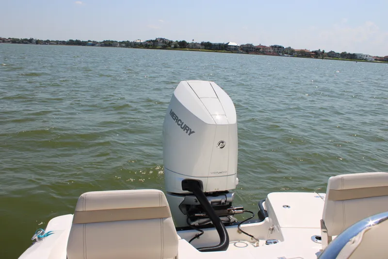 Slide: The Image of Boston Whaler 250 Dauntless 2027 - 9