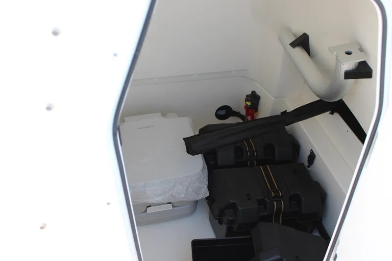 Slide: The Image of Boston Whaler 250 Dauntless 2027 - 14