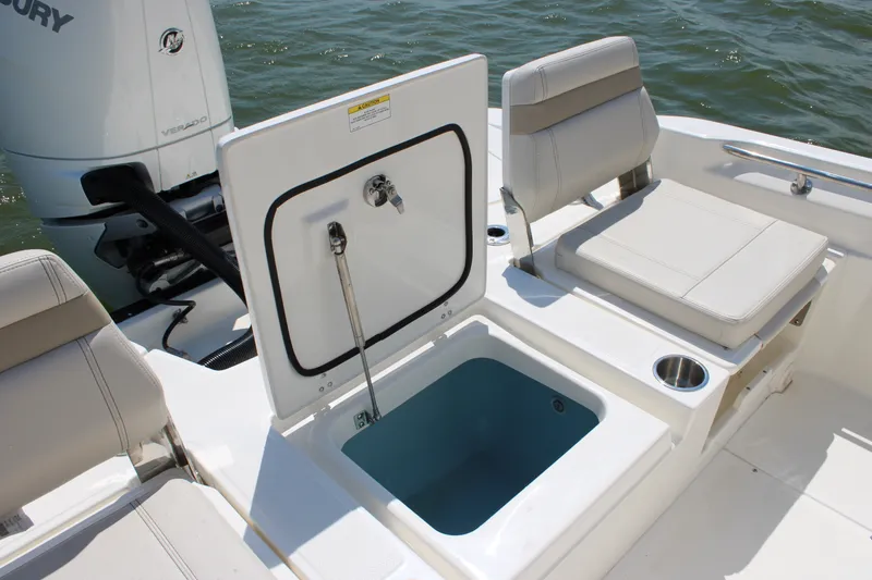 Slide: The Image of Boston Whaler 250 Dauntless 2027 - 34