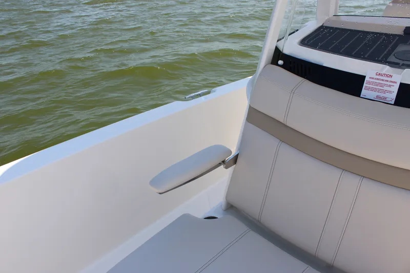 Slide: The Image of Boston Whaler 250 Dauntless 2027 - 17