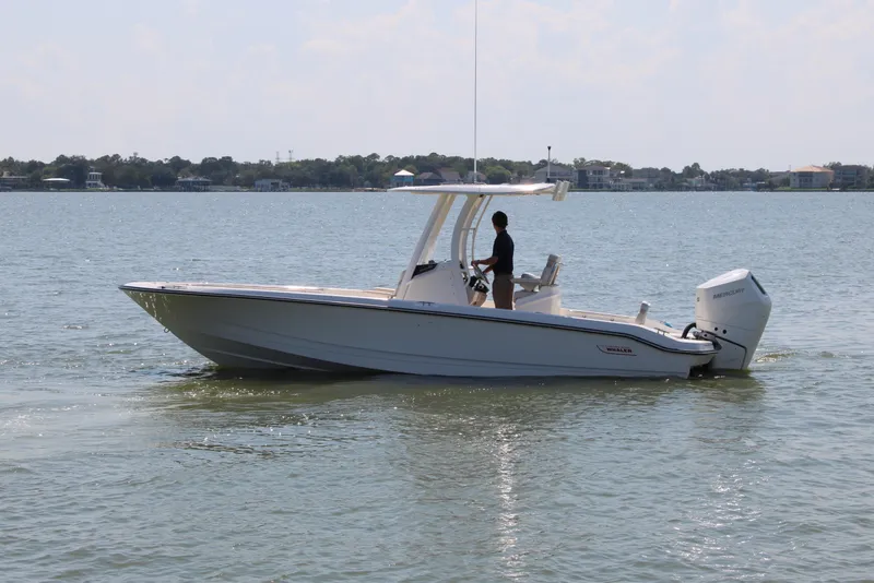 The Image of Boston Whaler 250 Dauntless 2027 - 0