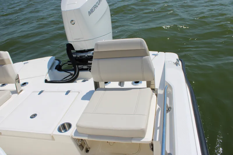 Slide: The Image of Boston Whaler 250 Dauntless 2027 - 31