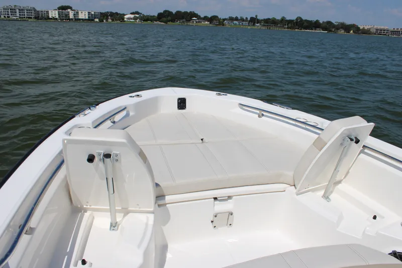 Slide: The Image of Boston Whaler 250 Dauntless 2027 - 25