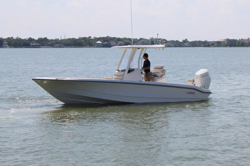 Slide: The Image of Boston Whaler 250 Dauntless 2027 - 8