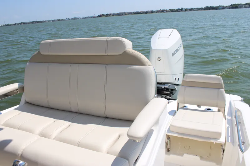 Slide: The Image of Boston Whaler 250 Dauntless 2027 - 30