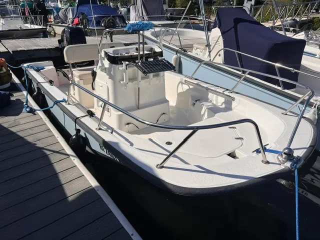 The Image of Boston Whaler 150 MONTAUK 2023 - 0