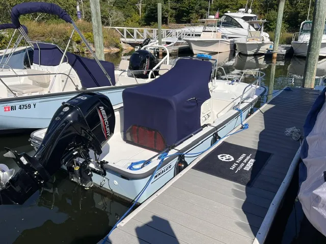 Slide: The Image of Boston Whaler 150 MONTAUK 2023 - 3