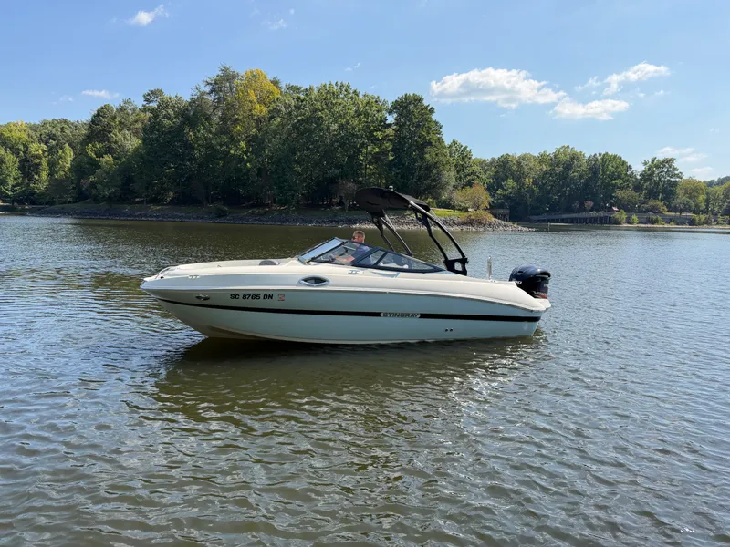 The Image of Stingray 214LR 2021 - 0