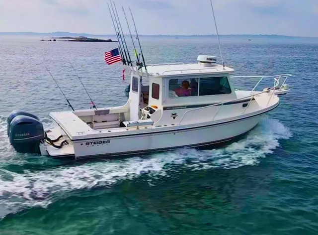 The Image of Steiger Craft 28 Chesapeake Pilothouse 2020 - 0
