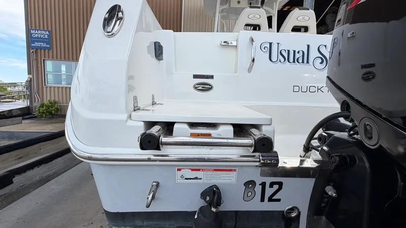 Slide: The Image of Sailfish 242 CC 2022 - 13