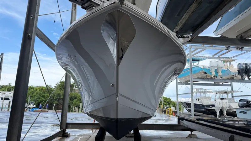 Slide: The Image of Sailfish 242 CC 2022 - 7