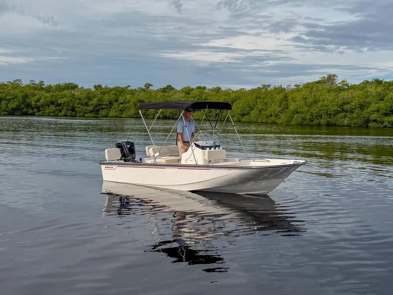 The Image of Boston Whaler 170 Montauk 2027 - 0
