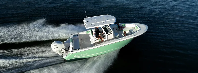 The Image of Robalo R252 Explorer 2027 - 0