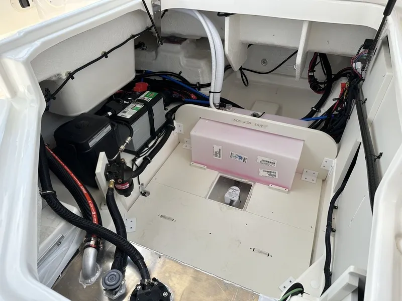 Slide: The Image of Sea Ray SDX 250 Outboard 2026 - 18