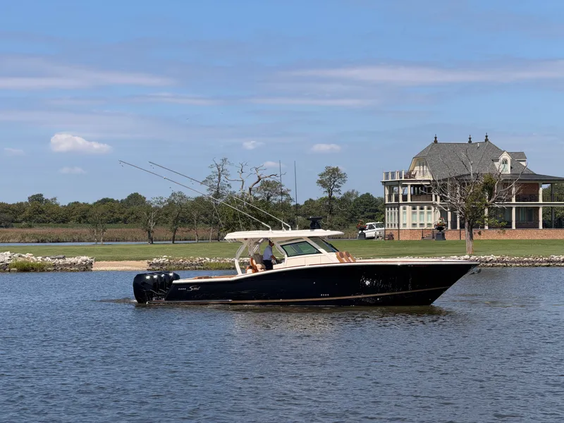 The Image of Scout 380 LXF 2019 - undefined