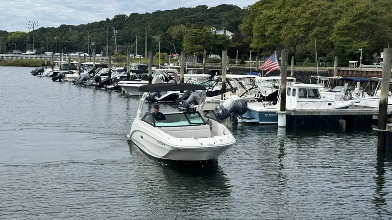 Slide: The Image of Sea Ray SDX 250 Outboard 2023 - 2