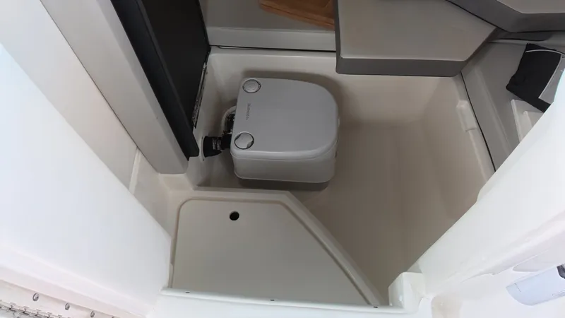 Slide: The Image of Sea Ray SDX 250 Outboard 2023 - 22