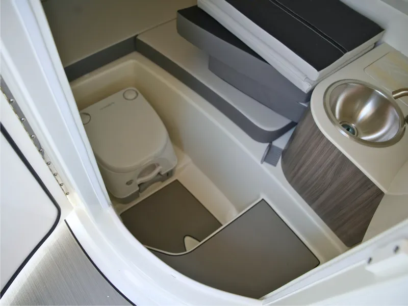 Slide: The Image of Sea Ray SDX 250 Surf 2027 - 34