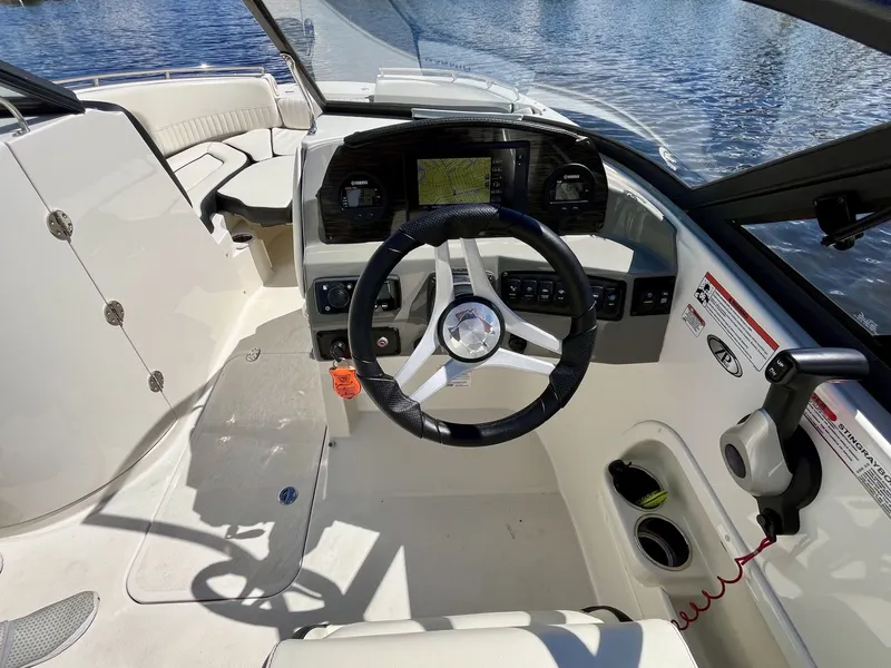 Slide: The Image of Stingray 231 DC 2020 - 14