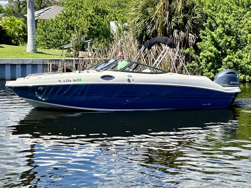 The Image of Stingray 231 DC 2020 - 0