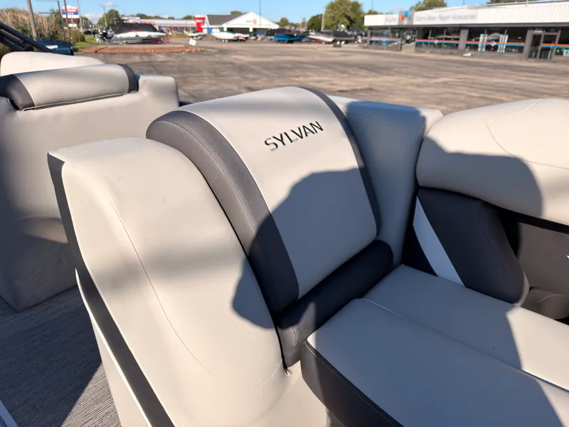 Slide: The Image of Sylvan MIRAGE X3 DLZ BAR 2026 - 17