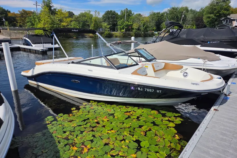 The Image of Sea Ray 210 SPX 2018 - 0
