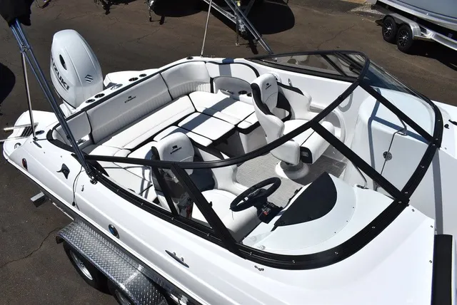 Slide: The Image of Stingray 211DC 2026 - 12
