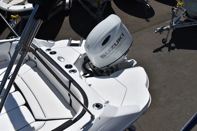 Slide: The Image of Stingray 211DC 2026 - 17