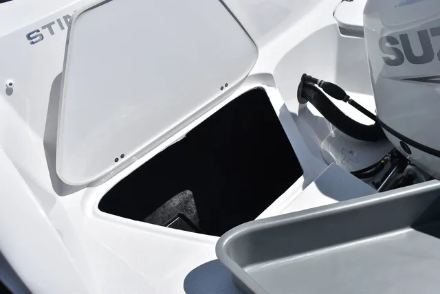 Slide: The Image of Stingray 211DC 2026 - 21