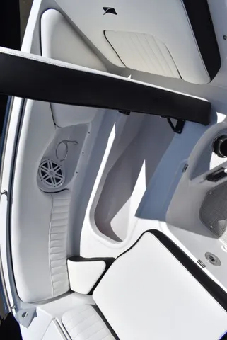 Slide: The Image of Stingray 211DC 2026 - 57