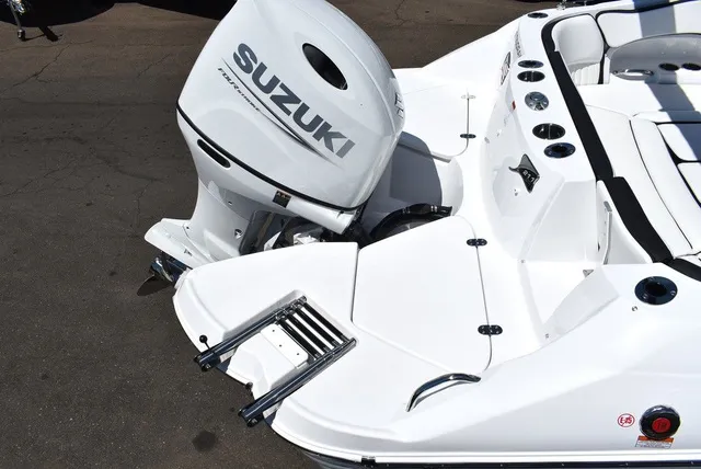 Slide: The Image of Stingray 211DC 2026 - 9