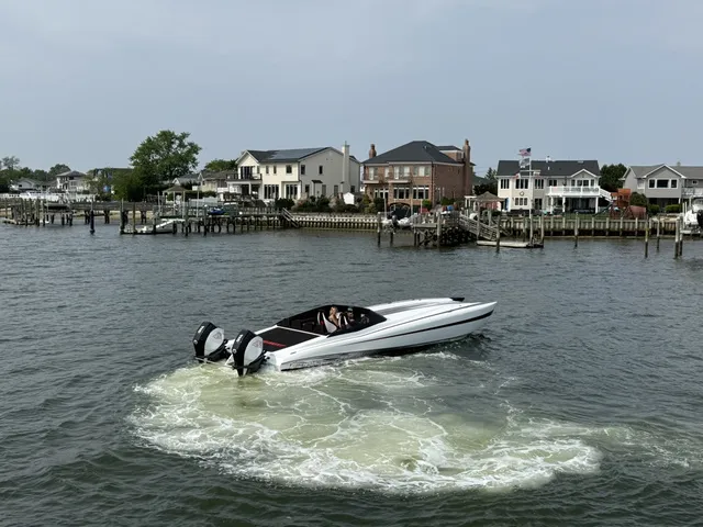 Slide: The Image of Statement 360 Cat 36' 2023 - 3