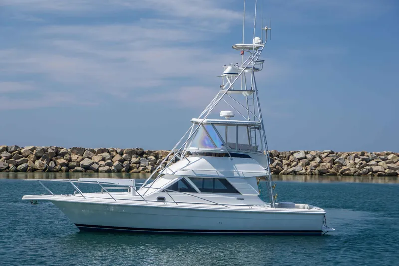 The Image of Phoenix Bass Boat Convertible 1998 - 0