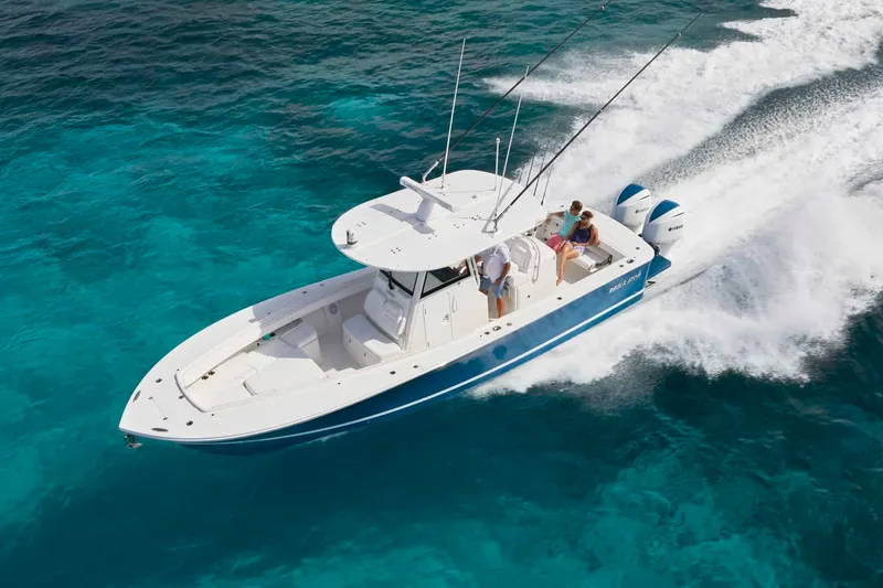 The Image of Regulator Marine 31 2025 - 0