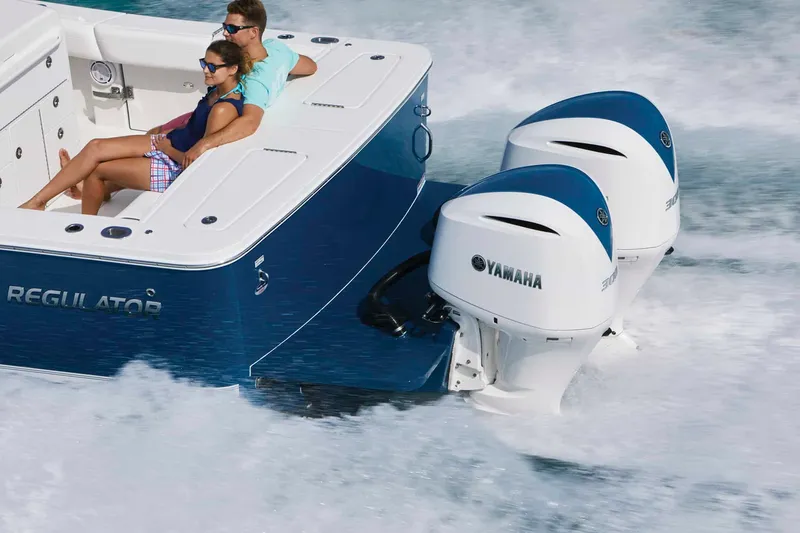 Slide: The Image of Regulator Marine 31 2025 - 9