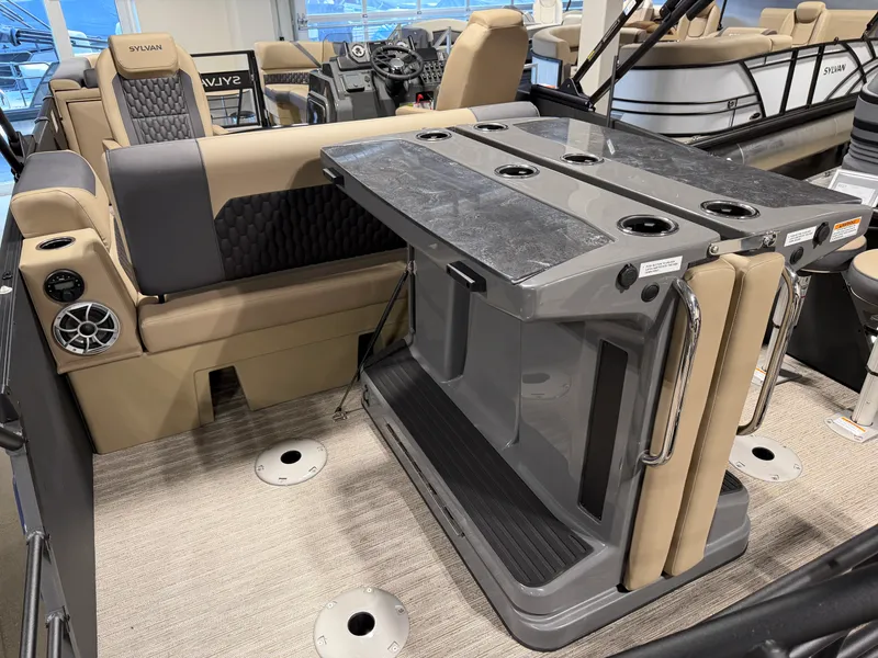 Slide: The Image of Sylvan X5 DLZ DH BAR 2027 - 20