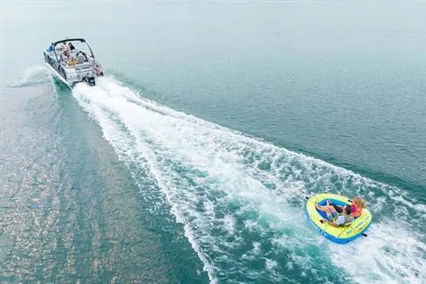 Slide: The Image of Crest Continental Limited 260 SLS 2026 - 6